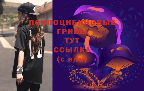 spice Алексеевка