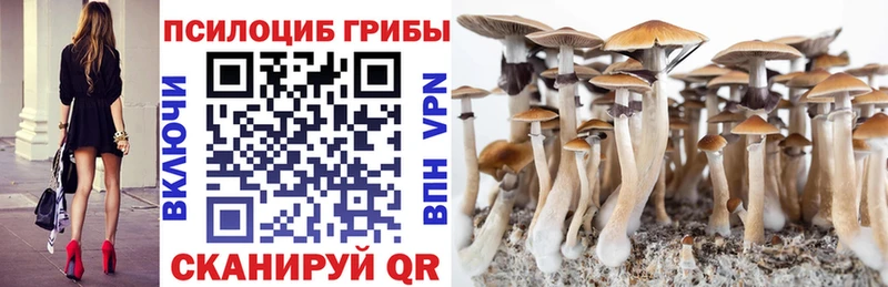 Галлюциногенные грибы MAGIC MUSHROOMS  наркотики  Арамиль 